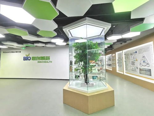 创业园连续七年荣获国家级科技企业孵化器优秀（A类）认定 卓越创新生态的成功典范
